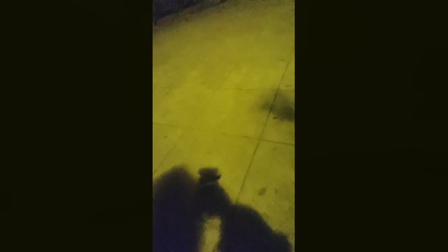 2horny2gay  28-03-2022